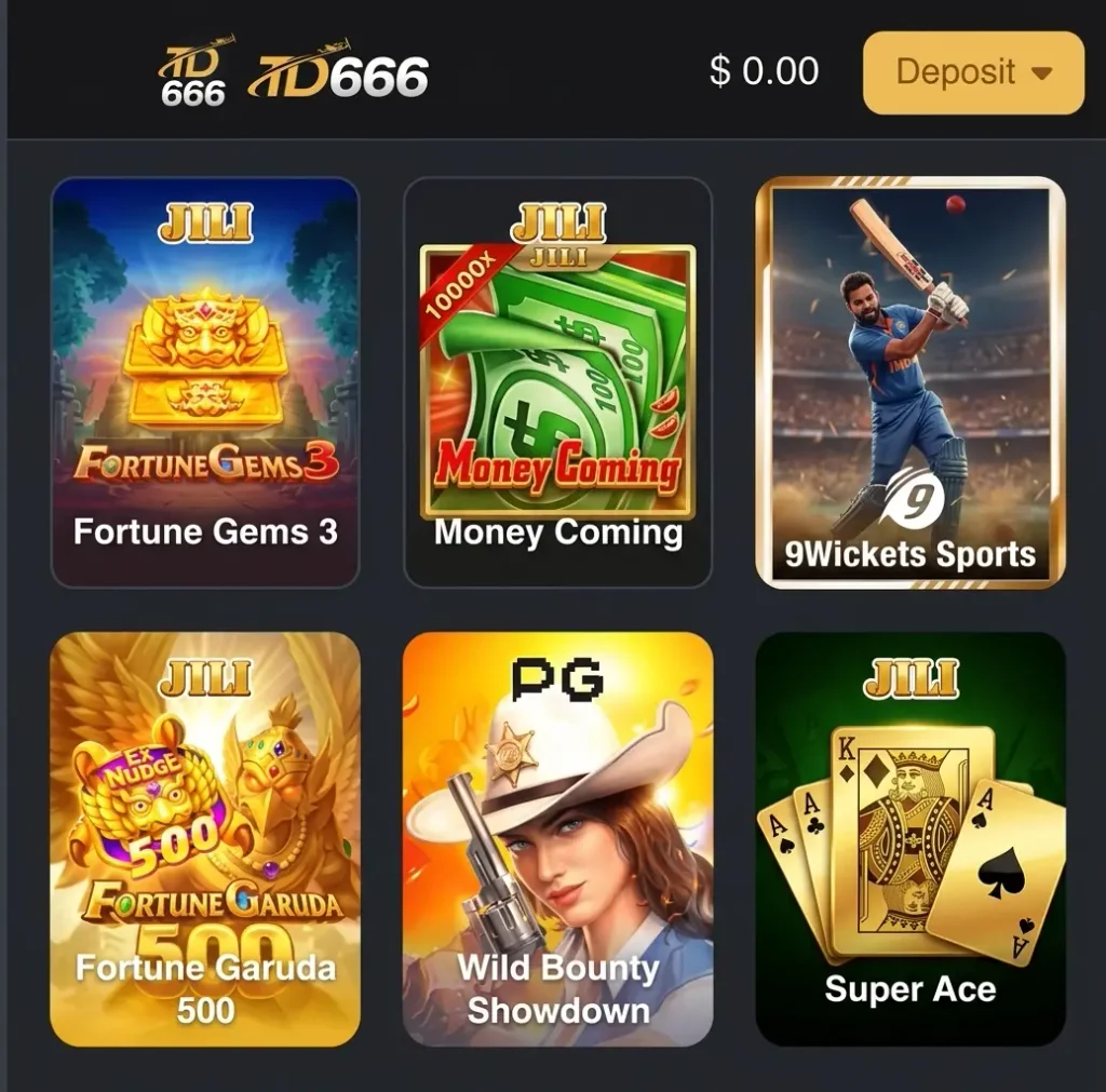 TD666 Game